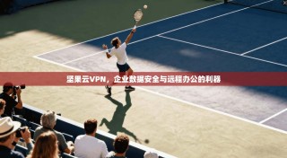 坚果云VPN，企业数据安全与远程办公的利器
