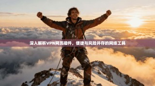 深入解析VPN网页插件，便捷与风险并存的网络工具