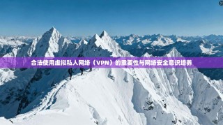 合法使用虚拟私人网络（VPN）的重要性与网络安全意识培养