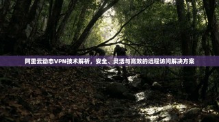 阿里云动态VPN技术解析，安全、灵活与高效的远程访问解决方案