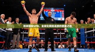 地球图标VPN，全球化网络连接的便捷之选