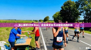 深入解析VPN Box，企业级安全与远程访问的利器