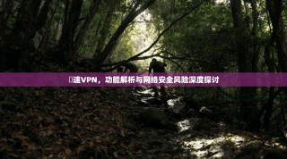 樂速VPN，功能解析与网络安全风险深度探讨