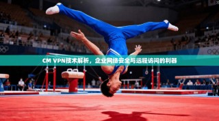 CM VPN技术解析，企业网络安全与远程访问的利器