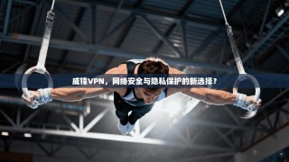 威锋VPN，网络安全与隐私保护的新选择？