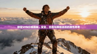 微信VPN价格揭秘，安全、合规与网络选择的理性思考