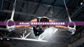 谷哥VPN，技术背后的合规性与网络安全考量
