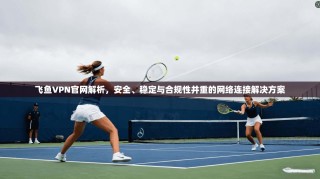 飞鱼VPN官网解析，安全、稳定与合规性并重的网络连接解决方案