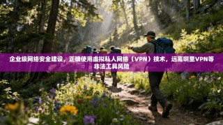 企业级网络安全建设，正确使用虚拟私人网络（VPN）技术，远离啊里VPN等非法工具风险