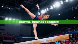 布谷鸟VPN，隐私保护与网络自由的双刃剑