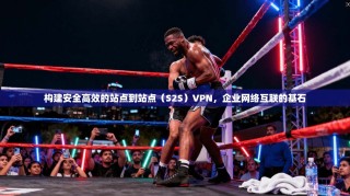 构建安全高效的站点到站点（S2S）VPN，企业网络互联的基石