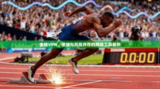 金柚VPN，便捷与风险并存的网络工具解析