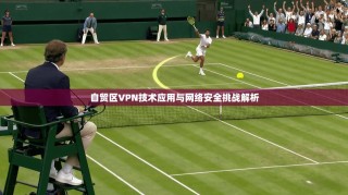 自贸区VPN技术应用与网络安全挑战解析
