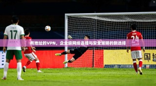 有地址的VPN，企业级网络连接与安全策略的新选择