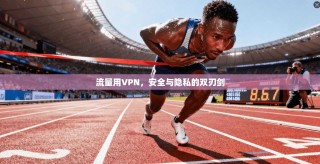 流量用VPN，安全与隐私的双刃剑
