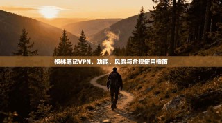 格林笔记VPN，功能、风险与合规使用指南