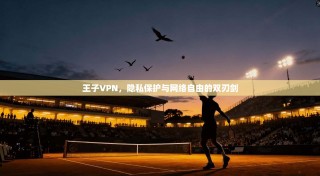 王子VPN，隐私保护与网络自由的双刃剑