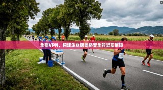全钢VPN，构建企业级网络安全的坚实屏障