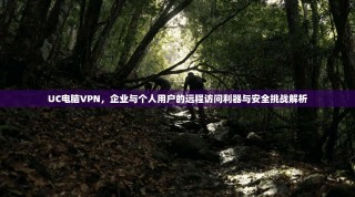 UC电脑VPN，企业与个人用户的远程访问利器与安全挑战解析