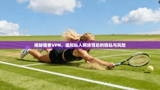 揭秘骚客VPN，虚拟私人网络背后的隐私与风险