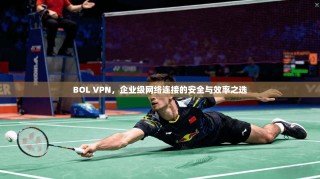 BOL VPN，企业级网络连接的安全与效率之选