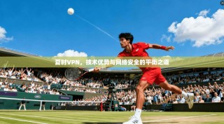 夏时VPN，技术优势与网络安全的平衡之道