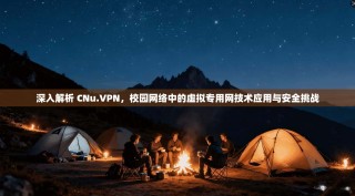 深入解析 CNu.VPN，校园网络中的虚拟专用网技术应用与安全挑战