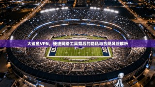 大鲨鱼VPN，便捷网络工具背后的隐私与合规风险解析