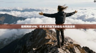 暗网网桥VPN，技术双刃剑下的隐私与风险探析