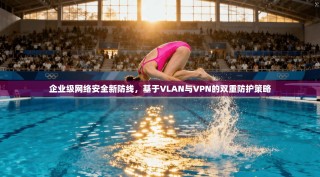 企业级网络安全新防线，基于VLAN与VPN的双重防护策略
