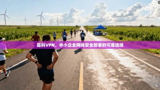 磊科VPN，中小企业网络安全部署的可靠选择