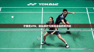 子弹壳VPN，隐私保护与网络自由的双刃剑