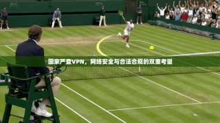 国家严查VPN，网络安全与合法合规的双重考量