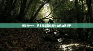 林影寺VPN，技术背后的隐私与合规边界探析