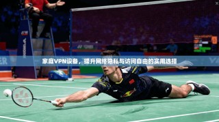 家庭VPN设备，提升网络隐私与访问自由的实用选择