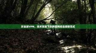环全球VPN，技术革新下的跨国网络连接新范式