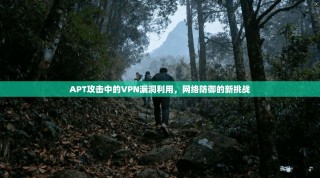 APT攻击中的VPN漏洞利用，网络防御的新挑战