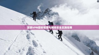 宣钢VPN密码管理与网络安全实践指南
