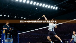 西瓜VPN安卓版使用指南与安全建议解析