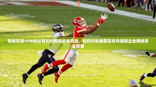 警惕苏酒VPN地址背后的网络安全风险，如何识别虚假信息并保障企业网络安全部署