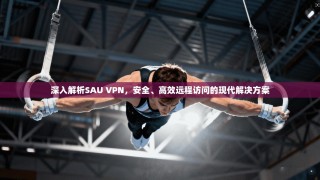 深入解析SAU VPN，安全、高效远程访问的现代解决方案
