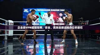 企业级VPN组建指南，安全、高效连接远程办公的基石