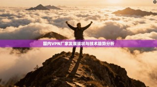 国内VPN厂家发展现状与技术趋势分析