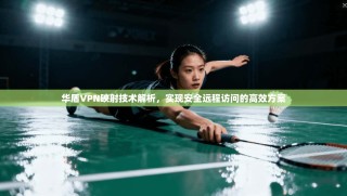华盾VPN映射技术解析，实现安全远程访问的高效方案