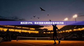 黑科技VPN，技术革新与网络安全的双刃剑
