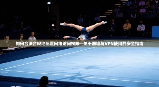 如何合法合规地配置网络访问权限—关于翻墙与VPN使用的安全指南