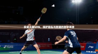 安全上网VPN，保护隐私与数据的数字盾牌