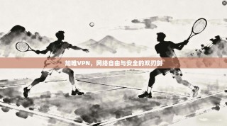 加唯VPN，网络自由与安全的双刃剑