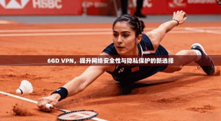 6GD VPN，提升网络安全性与隐私保护的新选择