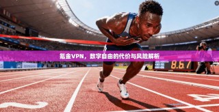 氪金VPN，数字自由的代价与风险解析